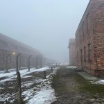Barbelés bloc Auschwitz 1