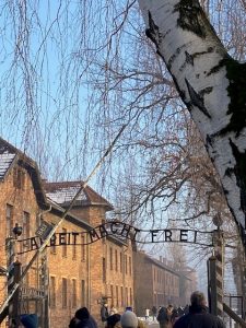 Entrée d'Auschwitz 1